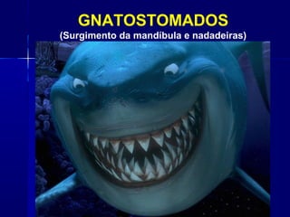 GNATOSTOMADOS
(Surgimento da mandíbula e nadadeiras)
 