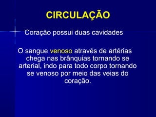 CIRCULAÇÃO
  Coração possui duas cavidades

O sangue venoso através de artérias
   chega nas brânquias tornando se
arterial, indo para todo corpo tornando
   se venoso por meio das veias do
                coração.
 