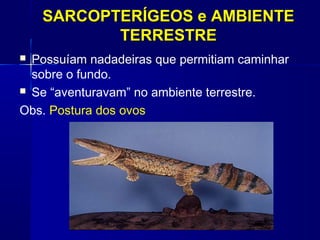 SARCOPTERÍGEOS e AMBIENTE
           TERRESTRE
 Possuíam nadadeiras que permitiam caminhar
  sobre o fundo.
 Se “aventuravam” no ambiente terrestre.

Obs. Postura dos ovos
 