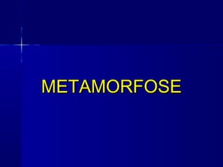 METAMORFOSE
 