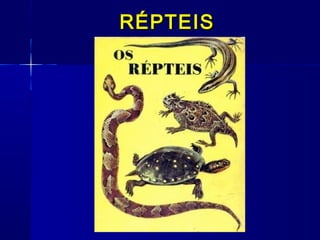 RÉPTEIS
 