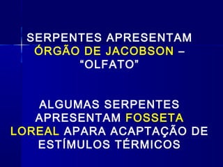 SERPENTES APRESENTAM
   ÓRGÃO DE JACOBSON –
        “OLFATO”


   ALGUMAS SERPENTES
   APRESENTAM FOSSETA
LOREAL APARA ACAPTAÇÃO DE
   ESTÍMULOS TÉRMICOS
 