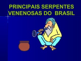 PRINCIPAIS SERPENTES
VENENOSAS DO BRASIL
 