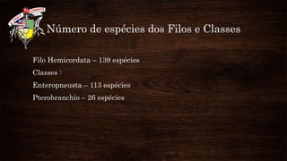 Número de espécies dos Filos e Classes
Filo Hemicordata – 139 espécies
Classes :
Enteropneusta – 113 espécies
Pterobranchio – 26 espécies
 