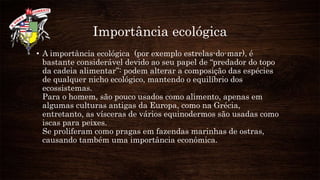 Importância ecológica
• A importância ecológica (por exemplo estrelas-do-mar), é
bastante considerável devido ao seu papel de “predador do topo
da cadeia alimentar”: podem alterar a composição das espécies
de qualquer nicho ecológico, mantendo o equilíbrio dos
ecossistemas.
Para o homem, são pouco usados como alimento, apenas em
algumas culturas antigas da Europa, como na Grécia,
entretanto, as vísceras de vários equinodermos são usadas como
iscas para peixes.
Se proliferam como pragas em fazendas marinhas de ostras,
causando também uma importância econômica.
 