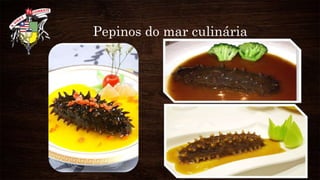 Pepinos do mar culinária
 