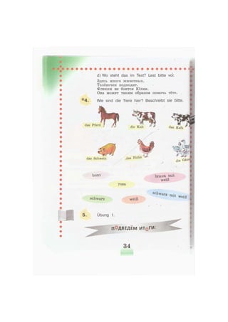 d) Wo steht das im Text? Lest bitte vor.
Здесь много животных.
Телёночек подходит.
Флекки не боится Юлии.
Она может таким образом помочь тёте.
* 4 . Wie sind die Tiere hier? Beschreibt sie bitte.
e
das Pferd ;
4 ,,die Kuh л * das Kalb
das Schwein
bunt
das Huhn
c;. e «г*
die Gän
rosa
schwarz weiß
braun mit
weiß
schwarz m i t
weiß
5. Übung 1.
ПОДВЕДЕМ ИТоГИ'.
34
 