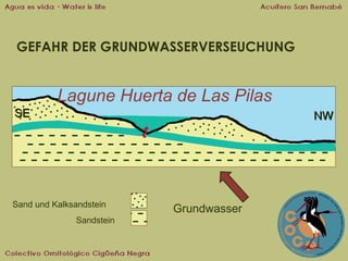 GEFAHR DER GRUNDWASSERVERSEUCHUNG

Lagune Huerta de Las Pilas
SE

NW

Sand und Kalksandstein
Sandstein

Grundwasser

 