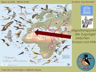 Migrationspunkt
der Zugvögel
zwischen

Europa und Afrika

 