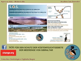 SOS FÜR DEN SCHUTZ DER KÜSTENFEUCHTGEBIETE
DER MEERENGE VON GIBRALTAR

 