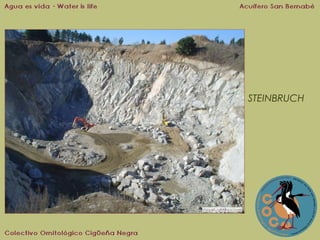 STEINBRUCH

 