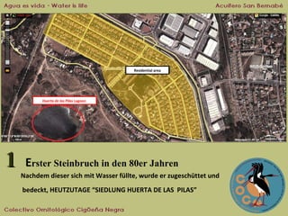 Residential area

Huerta de las Pilas Lagoon

1

Erster Steinbruch in den 80er Jahren
Nachdem dieser sich mit Wasser füllte, wurde er zugeschüttet und
bedeckt, HEUTZUTAGE “SIEDLUNG HUERTA DE LAS PILAS”

 
