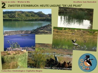 2

ZWEITER STEINBRUCH: HEUTE LAGUNE “DE LAS PILAS”

 