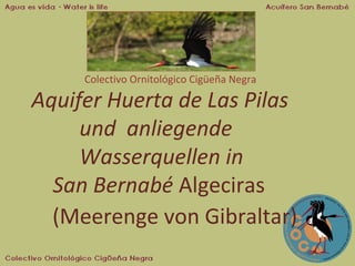 Colectivo Ornitológico Cigüeña Negra

Aquifer Huerta de Las Pilas
und anliegende
Wasserquellen in
San Bernabé Algeciras
(Meerenge von Gibraltar)

 