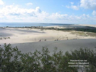 Wanderdünen bei Nidden im Memelland   (Ostpreussen, heute Litauen) 