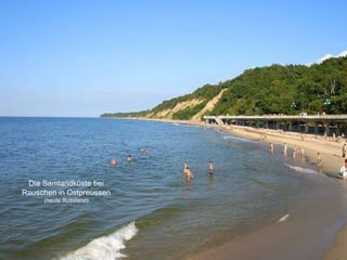 Die Samlandküste bei Rauschen in Ostpreussen (heute Russland) 