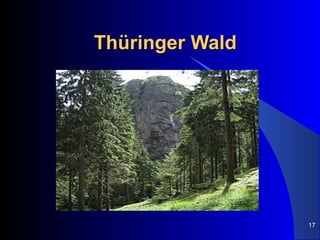 Thüringer Wald




                 17
 