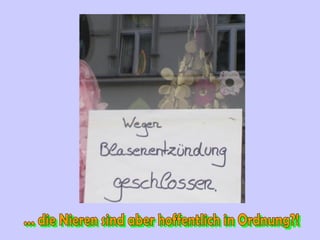 ... die Nieren sind aber hoffentlich in Ordnung?! 
