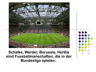 Schalke, Werder, Borussia, Hertha sind Fussballmanschaften, die in der Bundesliga spielen.   
