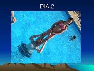 DIA 2 