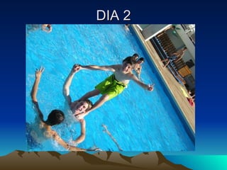 DIA 2 