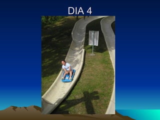 DIA 4 