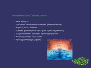 Mantıksal Matematiksel Zeka  