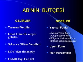 AB’NİN  BÜTÇESİ GELİRLER Tarımsal Vergiler Ortak Gümrük vergisi gelirleri Şeker ve Glikoz Vergileri KDV ‘den alınan pay GSMH Payı (% 1,27) GİDERLER Yapısal Fonlar - Avrupa Tarım Fonu - Avrupa Sosyal Fonu - Bölgesel Kalkınma Fonu  - Balıkçılık için mali araçlar Uyum Fonu İdari Harcamalar 