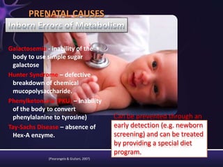 Galactosemia - inability of the
body to use simple sugar
galactose
Hunter Syndrome – defective
breakdown of chemical
mucopolysaccharide.
Phenylketonuria (PKU) – inability
of the body to convert
phenylalanine to tyrosine)
Tay-Sachs Disease – absence of
Hex-A enzyme.
PRENATAL CAUSES
(Piearangelo & Giuliani, 2007)
Can be prevented through an
early detection (e.g. newborn
screening) and can be treated
by providing a special diet
program.
 