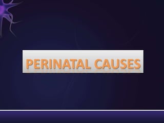 PERINATAL CAUSES
 
