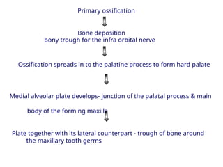 DEVELOPMENT of face n Craniofacial system AND ABNORMALITIES OF ...