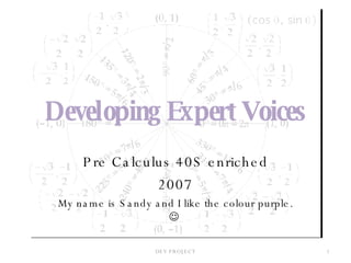 Developing Expert Voices Pre Calculus 40S enriched 2007 My name is Sandy and I like the colour purple.     DEV PROJECT 