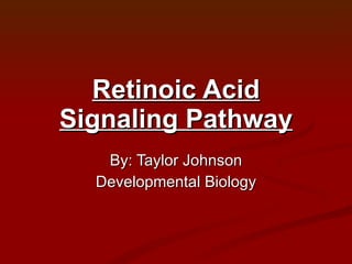 Retinoic Acid Signaling Pathway By: Taylor Johnson Developmental Biology 