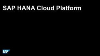 SAP HANA Cloud Platform

 