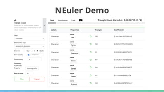 NEuler Demo
 