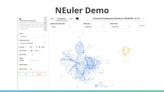 NEuler Demo
 