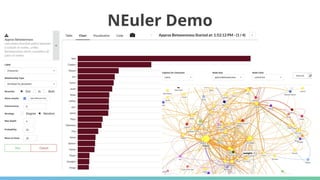 NEuler Demo
 