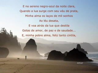 E no sereno negro-azul da noite clara, Quando a lua surge com seu véu de prata, Minha alma os laços de mil sonhos Ao léu desata, E voa atrás da lua que destila Gotas de amor, de paz e de saudade... E, minha pobre alma, feliz tanto cintila, 