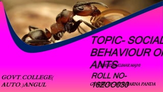 TOPIC- SOCIAL
BEHAVIOUR OF
ANTS
GOVT.COLLEGE(
AUTO.)ANGUL GUIDED BY-RUTUPARNA PANDA
DEBENDRAKUMARMAJHI
ROLL NO-
16ZOO030
 