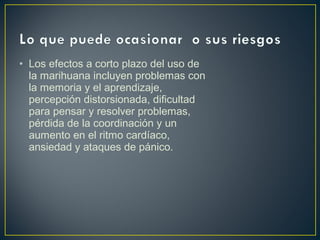 • Los efectos a corto plazo del uso de
  la marihuana incluyen problemas con
  la memoria y el aprendizaje,
  percepción distorsionada, dificultad
  para pensar y resolver problemas,
  pérdida de la coordinación y un
  aumento en el ritmo cardíaco,
  ansiedad y ataques de pánico.
 