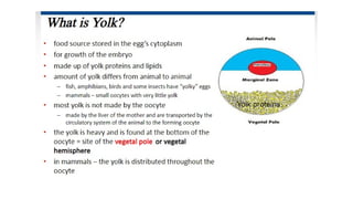 Developmental Biology Presentation Veena