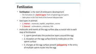 Developmental Biology Presentation Veena