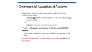 Developmental Biology Presentation Veena