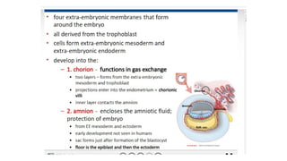 Developmental Biology Presentation Veena
