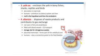 Developmental Biology Presentation Veena