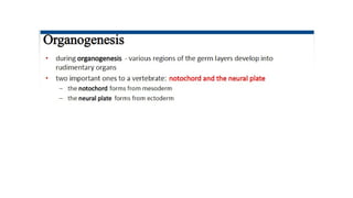 Developmental Biology Presentation Veena