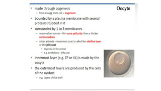 Developmental Biology Presentation Veena