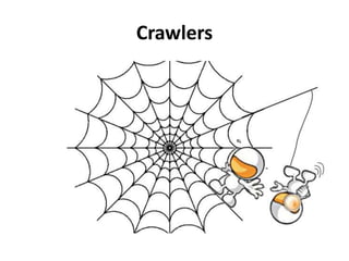 Crawlers 
 