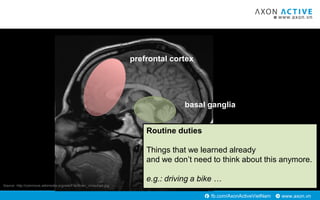 www.axon.vnfb.com/AxonActiveVietNam
Source: http://commons.wikimedia.org/wiki/File:Brain_chrischan.jpg
prefrontal cortex
b...
