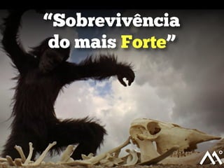 “Sobrevivência
do mais Forte”

 
